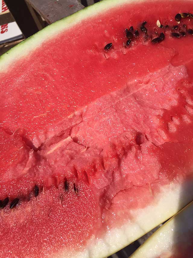 wassermelonen-watermelons-ready4